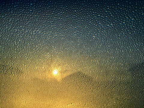 Bahamian Tales: Sunrise Dews , Photography - Alessandro Sarno, alimitlessworld