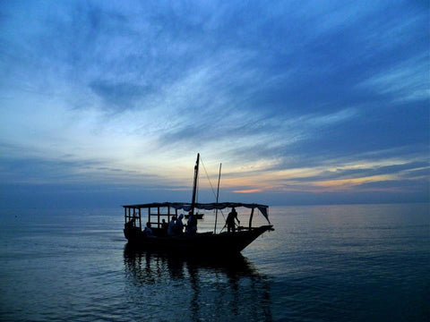 ZANZIBAR - mystery, intrigue and exotic adventure . By  Holly Meadows